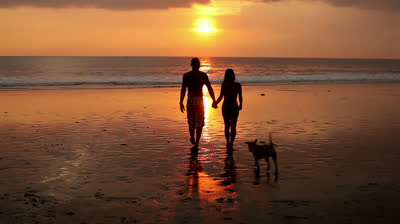 walk-in-the-beach-sunset-Favim.com-791527